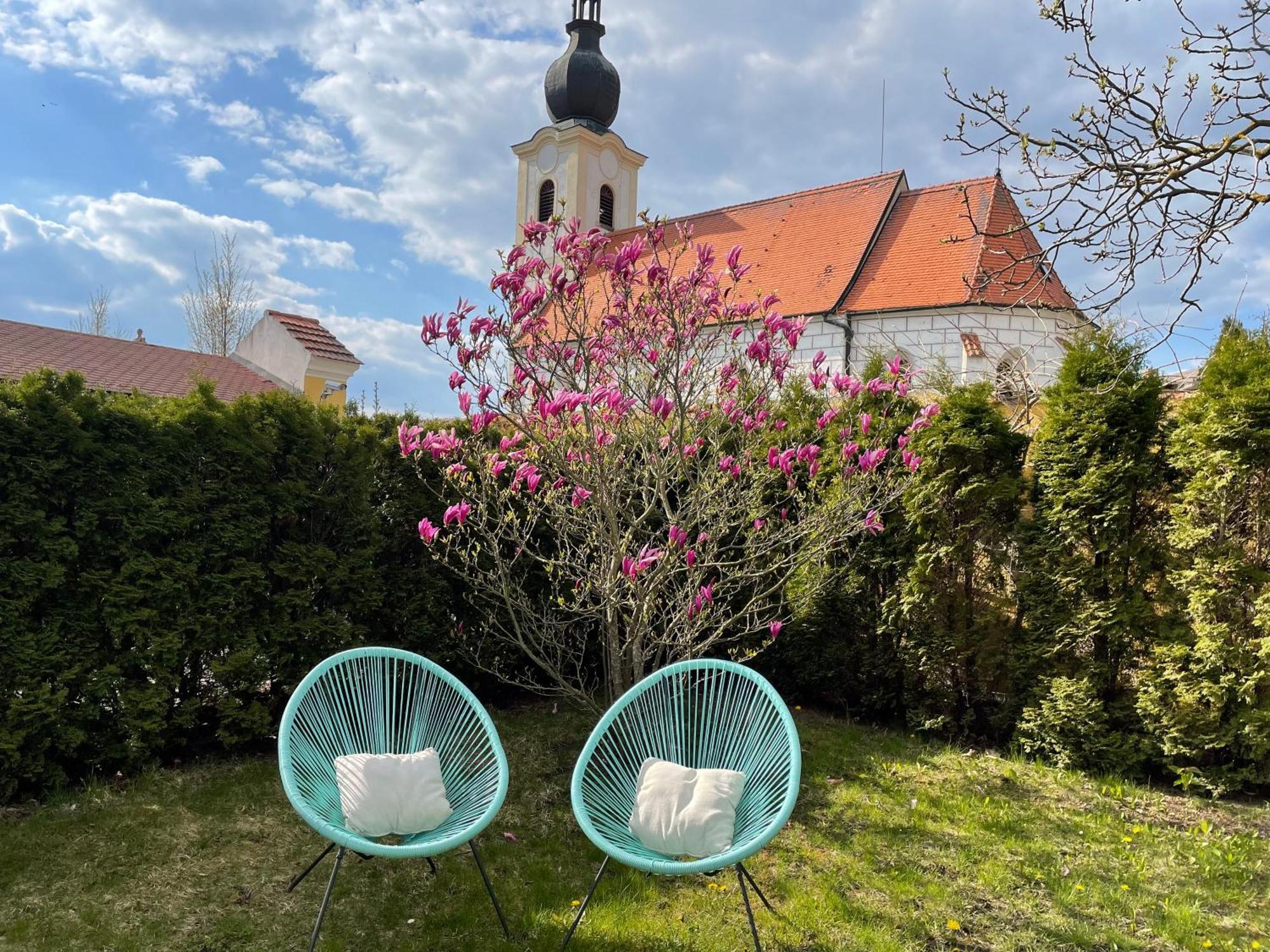 Appartamento Historický dům u lázní Třeboň Esterno foto